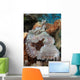 Close-up Tassled Scorpionfish Showing Wall Decal
