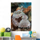 Close-up Tassled Scorpionfish Showing Wall Decal