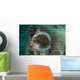 Clown Anemonefish Sea Anemone Wall Decal