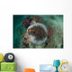 Clown Anemonefish Sea Anemone Wall Decal