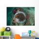 Clown Anemonefish Sea Anemone Wall Decal