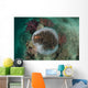 Clown Anemonefish Sea Anemone Wall Decal