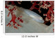 Soft Coral Ghost Goby Wall Decal