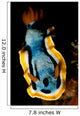 Anna's Chromodoris Nudibranch Sea Wall Decal