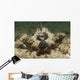 Devil Scorpionfish Head White Wall Decal