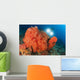 Colorful Reefs Covered Orange Wall Decal Design 3