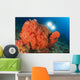 Colorful Reefs Covered Orange Wall Decal Design 3