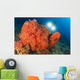 Colorful Reefs Covered Orange Wall Decal Design 3
