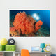Colorful Reefs Covered Orange Wall Decal Design 3