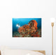 Colorful Reefs Covered Orange Wall Decal Design 2