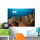 Diver Illuminates Mushroom Leather Wall Decal