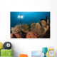 Diver Illuminates Mushroom Leather Wall Decal