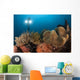 Diver Illuminates Mushroom Leather Wall Decal