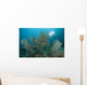 Black Coral Illuminated Diver Wall Decal