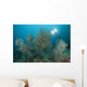 Black Coral Illuminated Diver Wall Decal
