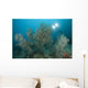 Black Coral Illuminated Diver Wall Decal