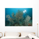 Black Coral Illuminated Diver Wall Decal