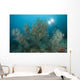 Black Coral Illuminated Diver Wall Decal