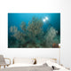 Black Coral Illuminated Diver Wall Decal