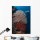 Sea Fans Illuminated Diver Wall Decal