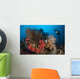 Diver Looks Raja Ampat Wall Decal