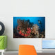 Diver Looks Raja Ampat Wall Decal