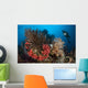 Diver Looks Raja Ampat Wall Decal