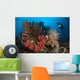 Diver Looks Raja Ampat Wall Decal