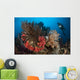 Diver Looks Raja Ampat Wall Decal