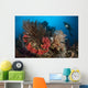 Diver Looks Raja Ampat Wall Decal