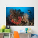 Diver Looks Raja Ampat Wall Decal