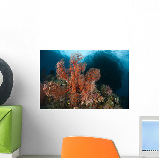 Reefscape Raja Ampat Covered Wall Decal Design 3