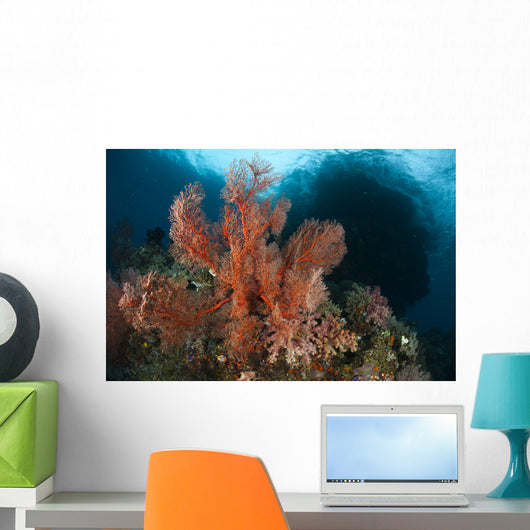 Reefscape Raja Ampat Covered Wall Decal Design 3