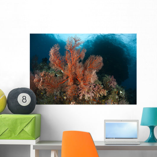 Reefscape Raja Ampat Covered Wall Decal Design 3
