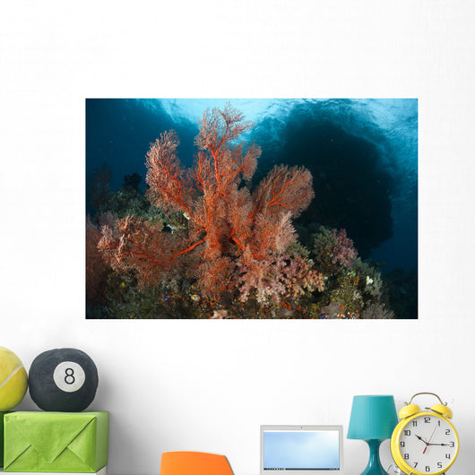 Reefscape Raja Ampat Covered Wall Decal Design 3