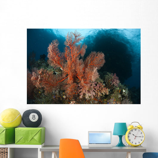Reefscape Raja Ampat Covered Wall Decal Design 3