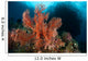 Reefscape Raja Ampat Covered Wall Decal Design 3