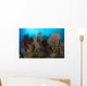 Reefscape Raja Ampat Covered Wall Decal Design 2