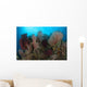 Reefscape Raja Ampat Covered Wall Decal Design 2