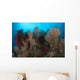 Reefscape Raja Ampat Covered Wall Decal Design 2