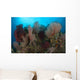 Reefscape Raja Ampat Covered Wall Decal Design 2