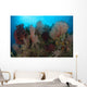 Reefscape Raja Ampat Covered Wall Decal Design 2