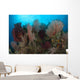 Reefscape Raja Ampat Covered Wall Decal Design 2