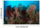 Reefscape Raja Ampat Covered Wall Decal Design 2
