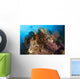 Colorful Crinoids and Soft Wall Decal Design 5