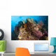 Colorful Crinoids and Soft Wall Decal Design 5