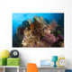 Colorful Crinoids and Soft Wall Decal Design 5