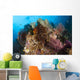 Colorful Crinoids and Soft Wall Decal Design 5