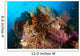 Colorful Crinoids and Soft Wall Decal Design 5