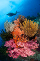 Diver Approaches Colorful Soft Wall Decal Design 3